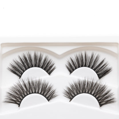 Natural False Eyelashes - No Glue Black Eyeliner and Lashes Kit